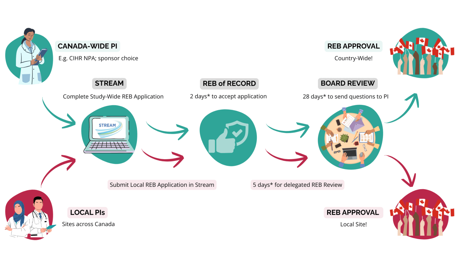 CanReview Single Research Ethics Review System: How it Works